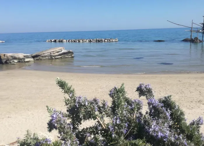 Casa Patrizia Costa Trabocchi Apartamento *